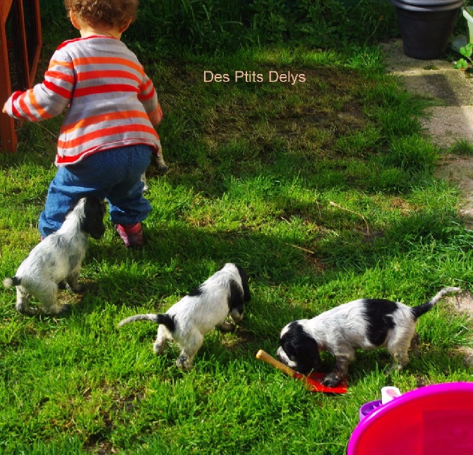 Des Ptits Delys - Nous découvrons les joies du jardin à 5 semaines, il fait beau ! 