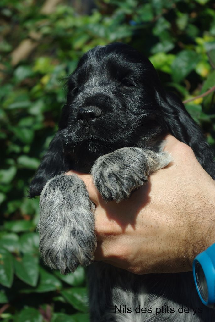 Bébé dans le jardin 